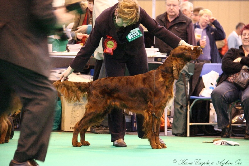 Crufts2011_2 156.jpg